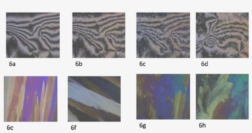 Point Singularities As Evidence Of Nematic Schlieren, transparent png