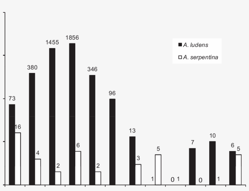 Yearly Sums Of A, transparent png