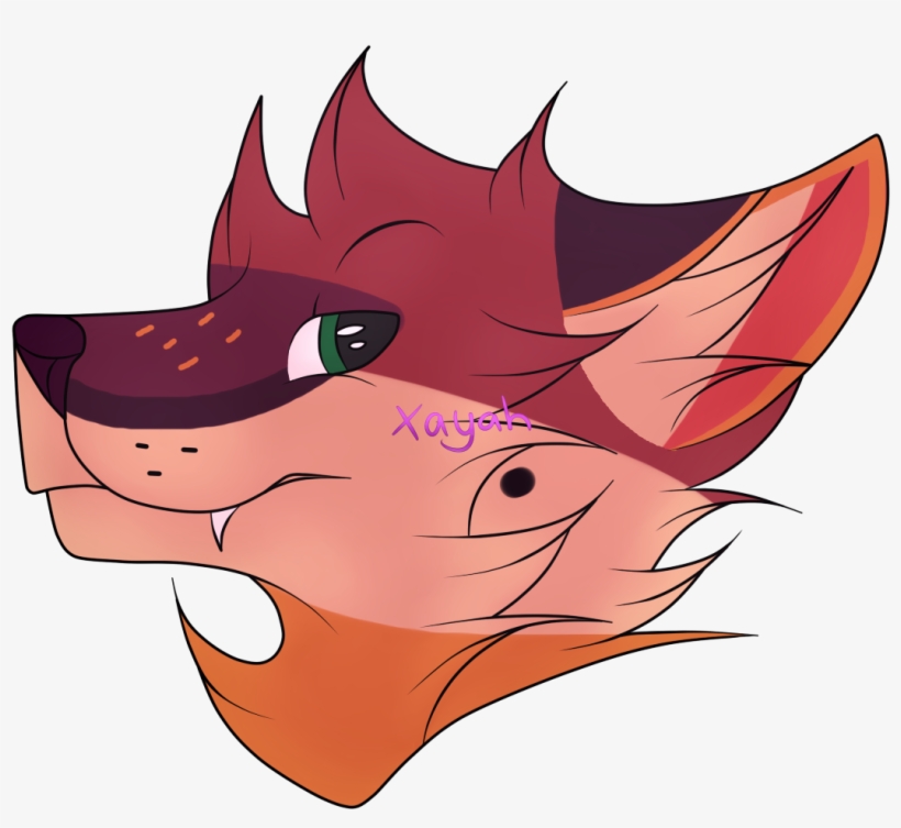 Details, transparent png