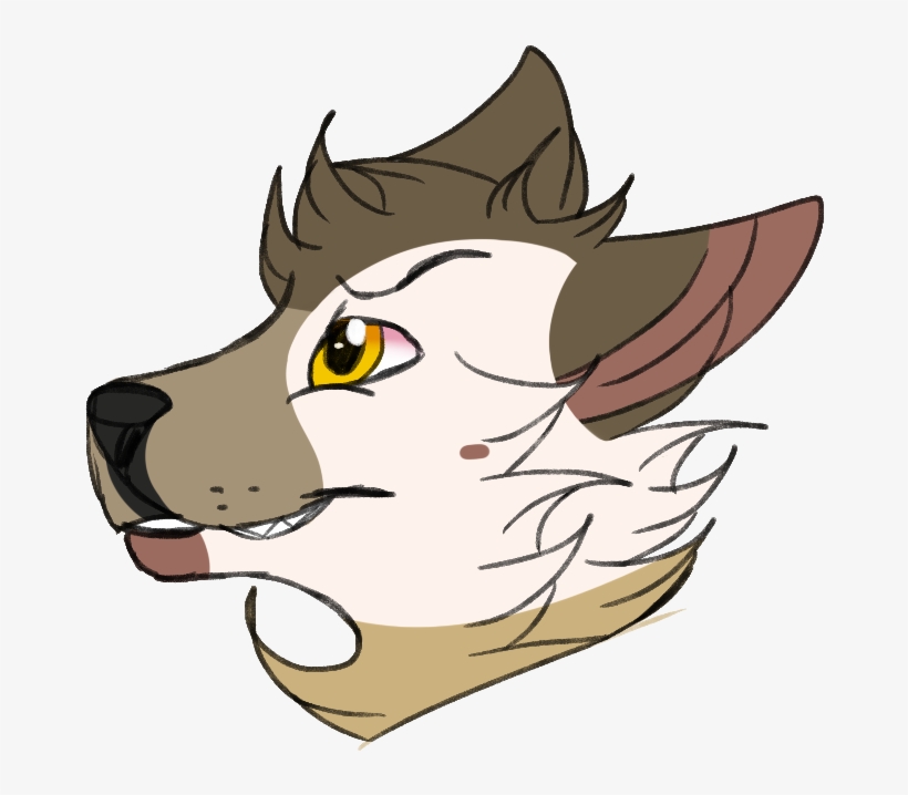 Details, transparent png