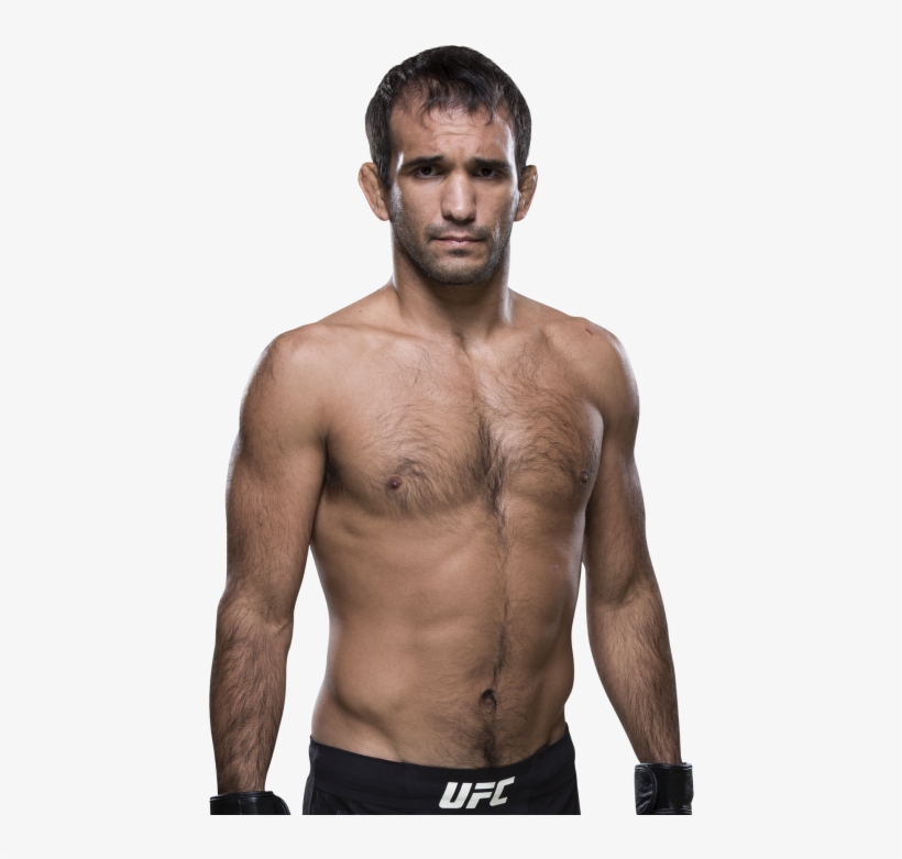 Biography, transparent png
