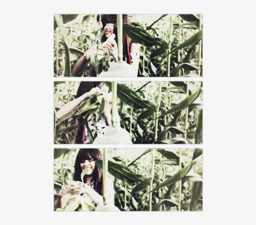 Http - //24 - Media - Tumblr - Com/ea321c370c25 O1, transparent png