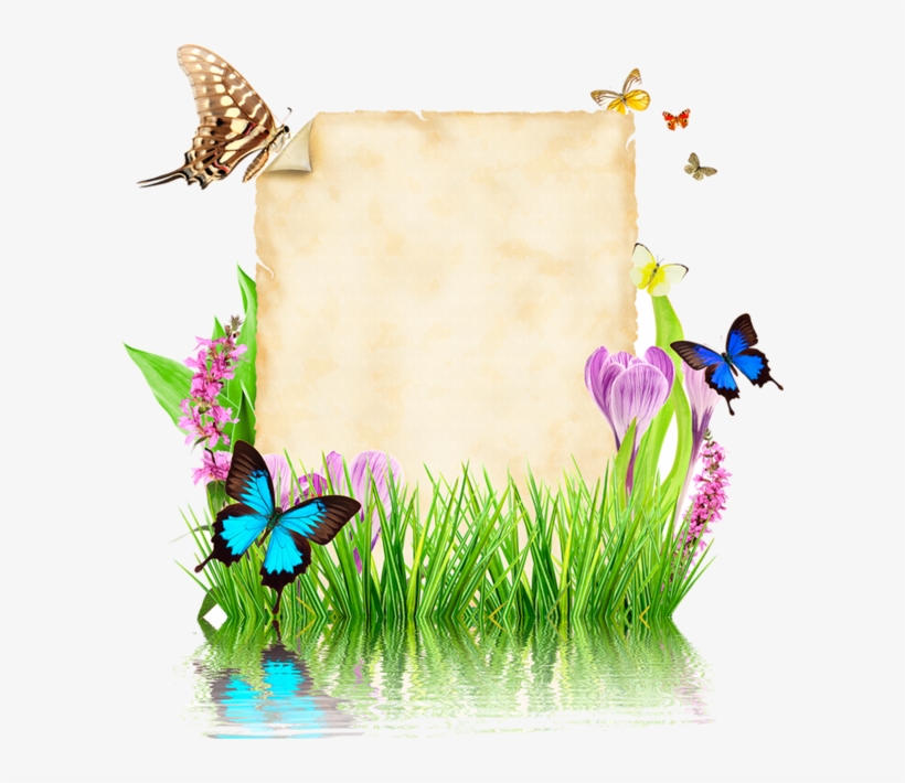 Parchemins Writing Paper, Vector Design, Photoshop, transparent png