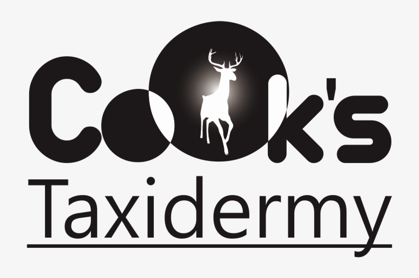 Logo Design By Dara For This Project, transparent png