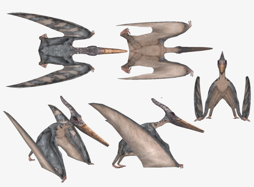Latestcb=20150121151715, transparent png