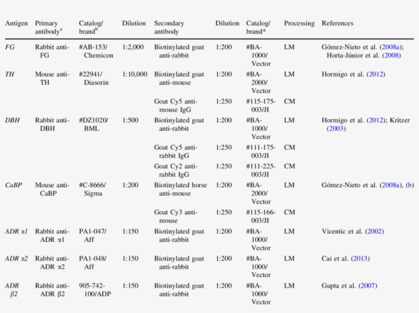 List Of Antibodies And Dilutions Used In The Immunohistochemistry, transparent png