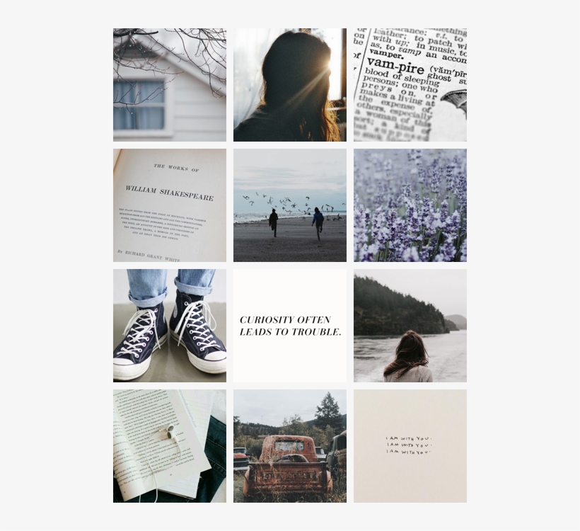 “ This Is A Preview Of Aesthetic Pics Of Bella Swan, transparent png