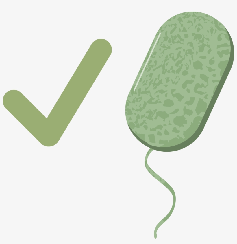 This Is An Example Picture Of A Cell, transparent png