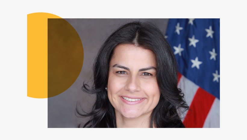 Bruins Elected, transparent png