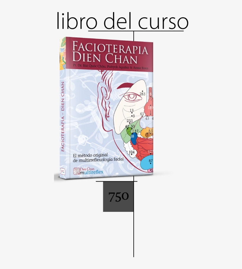 Multireflex, transparent png