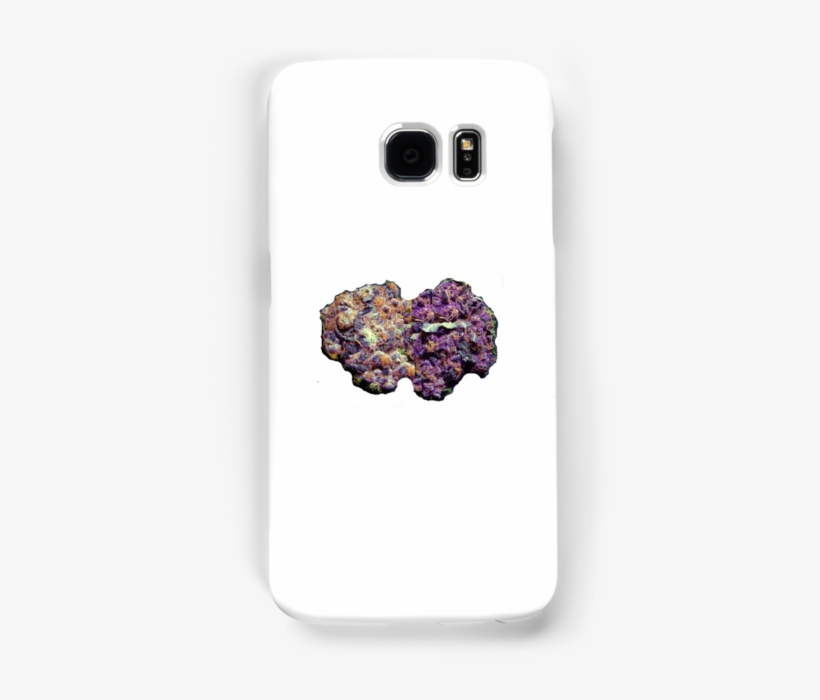 Dank Kush Buds 420 Cannabis Ganja Purple Weed, transparent png
