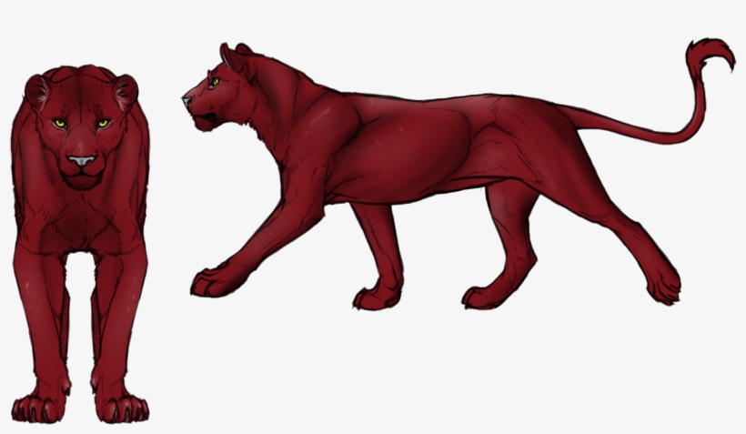 Speckles Png, transparent png