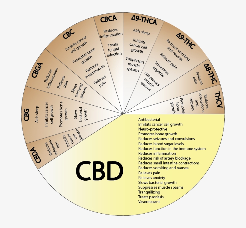 Marijuana, transparent png