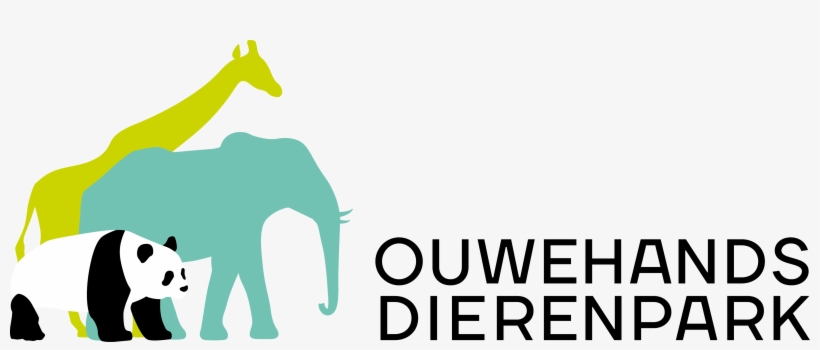 Ivelin Ivanov, "bright Future For The Black Vulture”project, transparent png