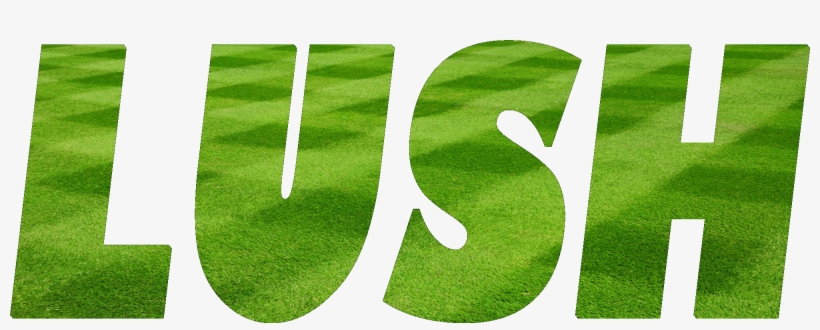 Young Professionals Council 1/24/2019, transparent png