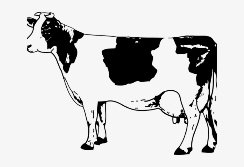 Ox Clipart Gir Cow, transparent png