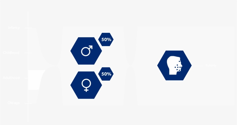 Acne Typically Starts In Puberty, Becoming Worse During, transparent png