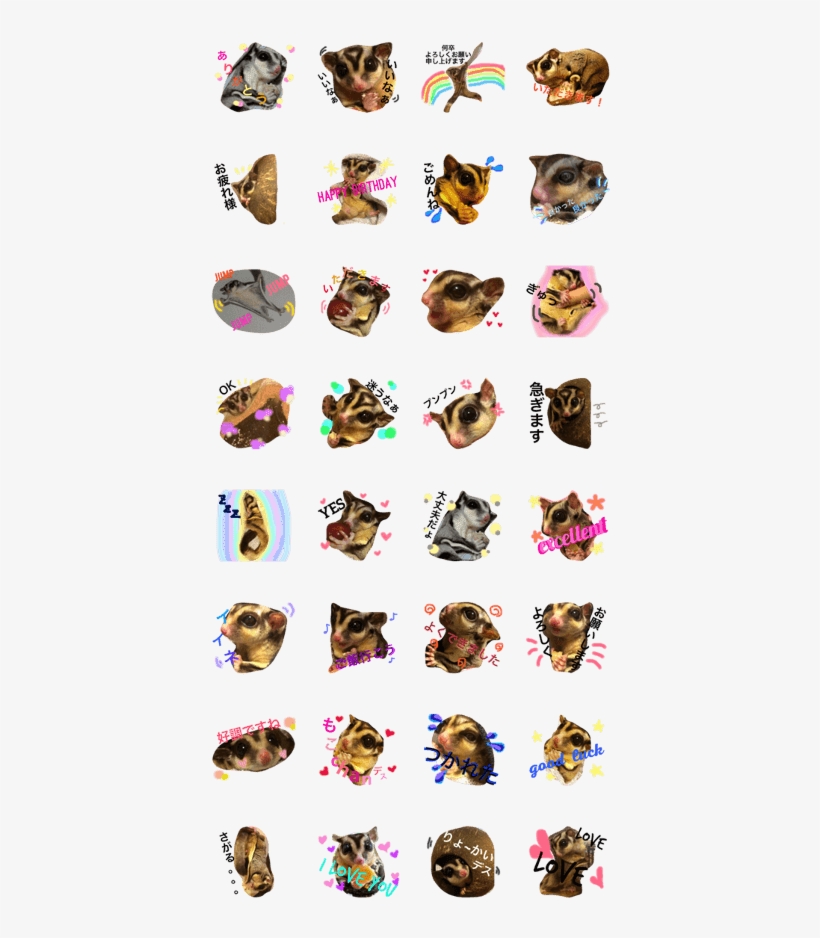 Sugar Glider 420x897 PNG Download PNGkit