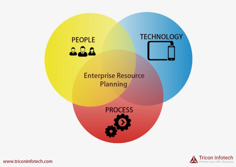 “why” And “when” To Sap Implementation In Your Organization, transparent png