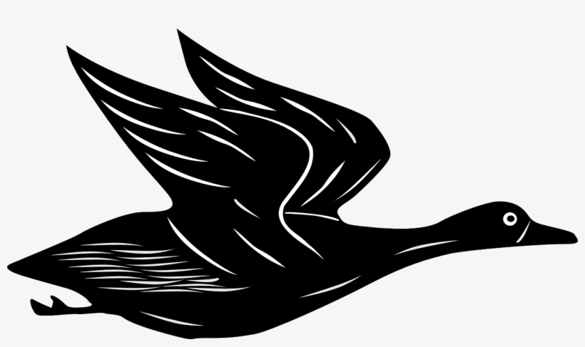 Banner Free Stock Duck Clip Art At Clker Com Vector - Flying Duck Clipart, transparent png