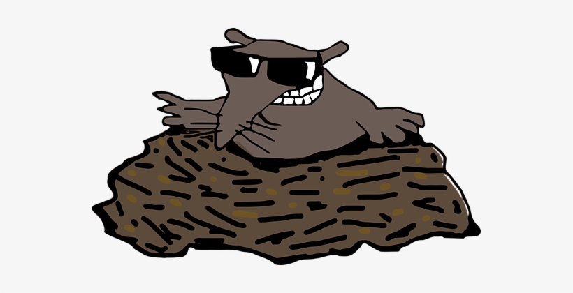 Mole Molehill Animal Fun Sunglasses Mole M - Transparent Mole, transparent png