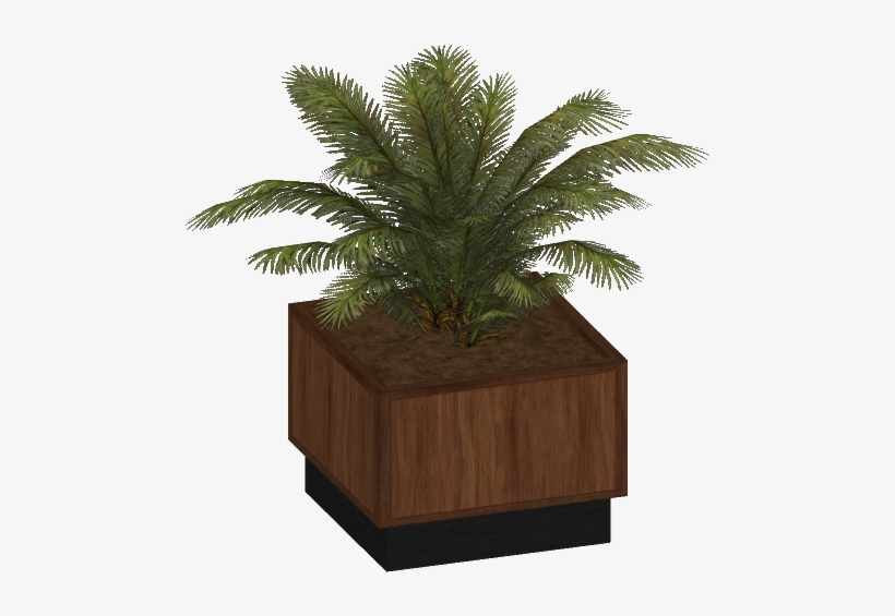 Potted Plant Wood 1 - Zt2 Potted Plants, transparent png