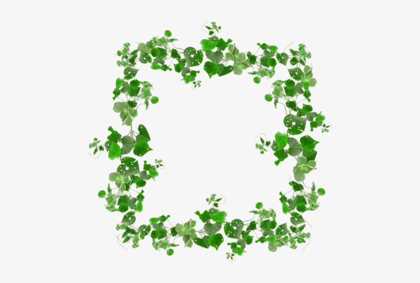 Leaf Frame Png - Cadre Automne - Cadeau Personnalisé, transparent png