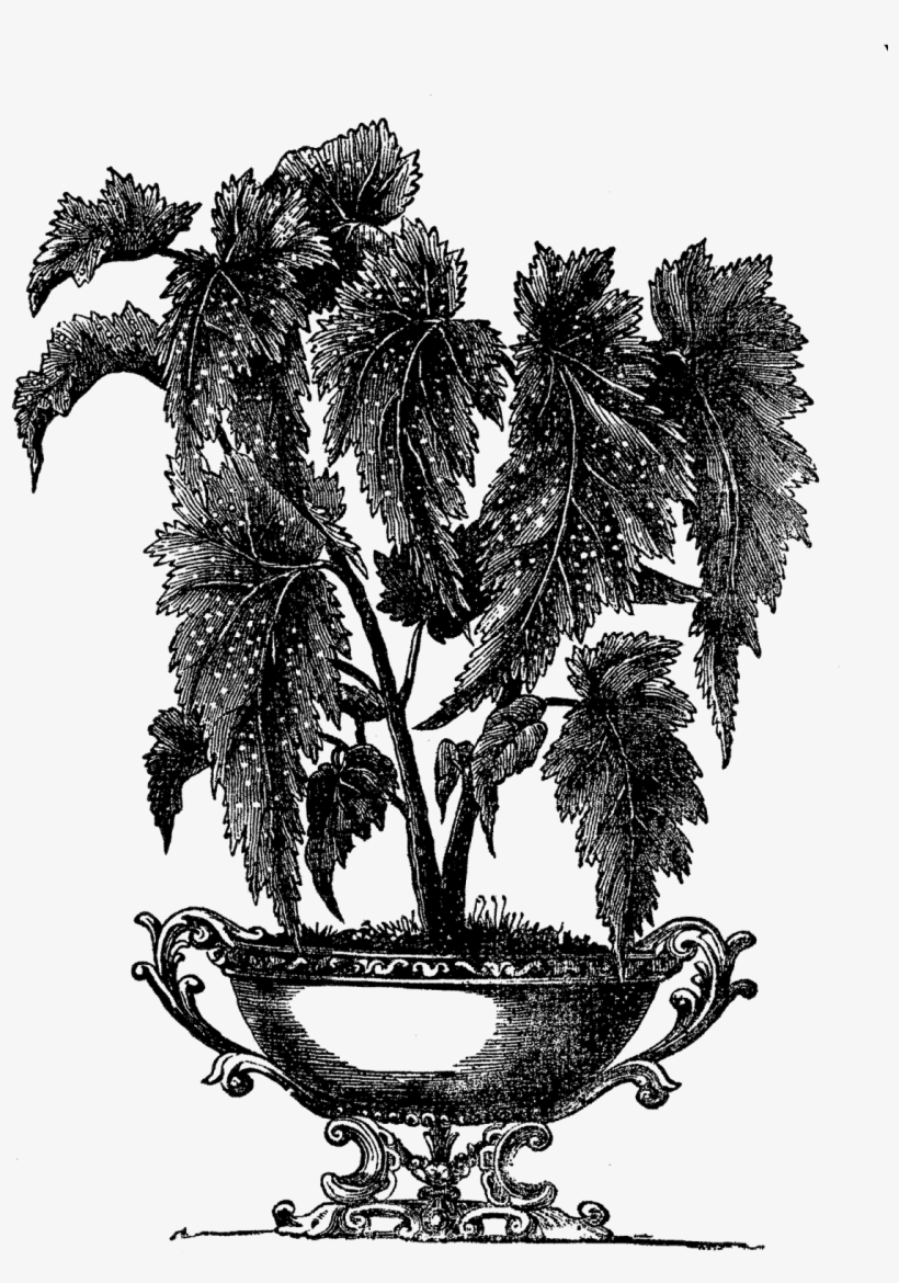 Digital Plant Clip Art - Victorian Indoor Plant Pot, transparent png