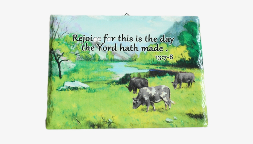 2018 New Arrival Home Decor Farmhouse Frame Wall Plaque - Grassland, transparent png