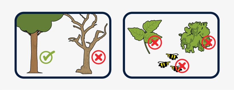 Don't Hang Your Hammock From Any Dead Trees, transparent png