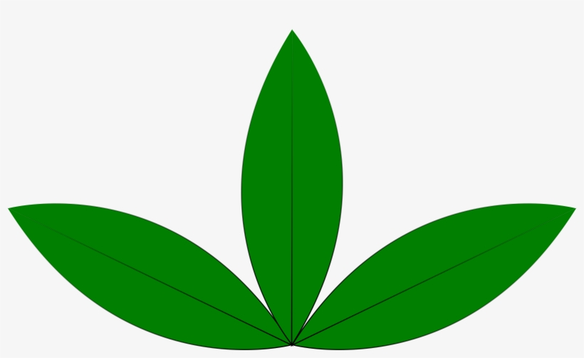 Clipart - 3 Leaf Plant Clipart, transparent png