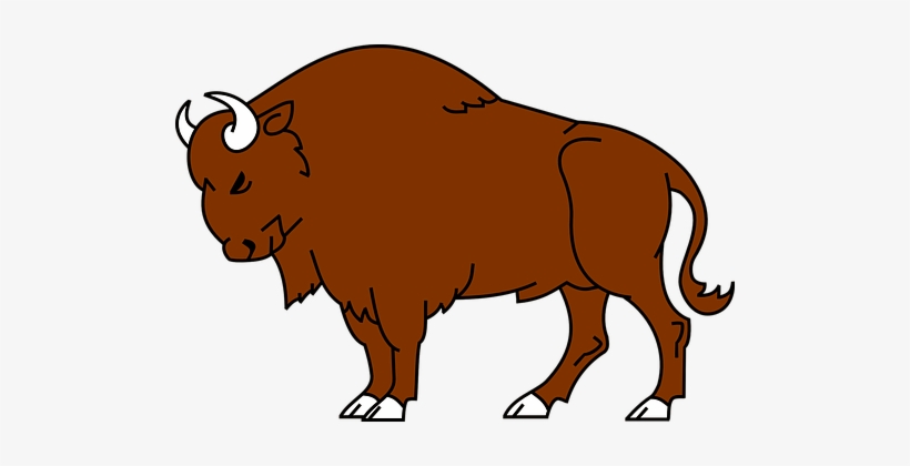 Bison Animal Wild Buffalo Wildlife America - Bison Clipart, transparent png
