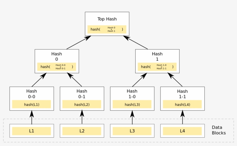 Looking At The Above Tree, We Can See That Only The - Merkle Tree Png, transparent png