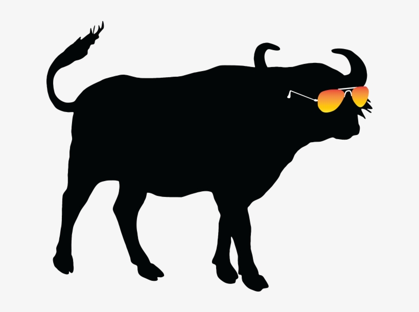 Summer Buffalo Summer Buffalo - Buffalo Silhouette, transparent png