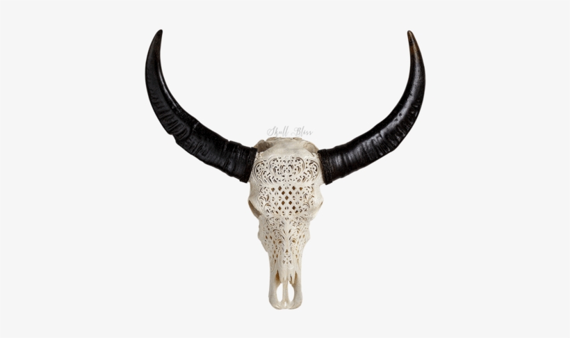 Buffalo Skulls - Skull, transparent png