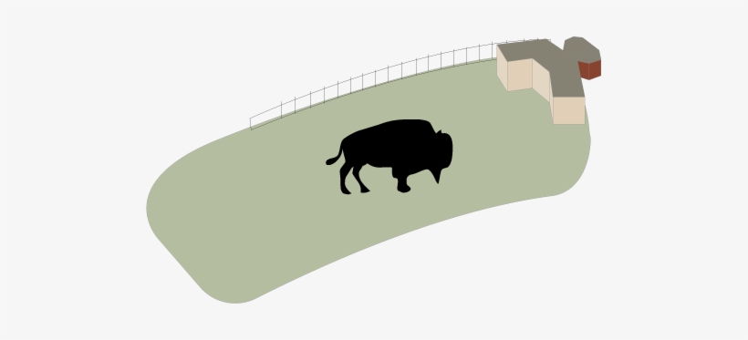 Buffalo - Brown Buffalo Silhouette Shower Curtain, transparent png