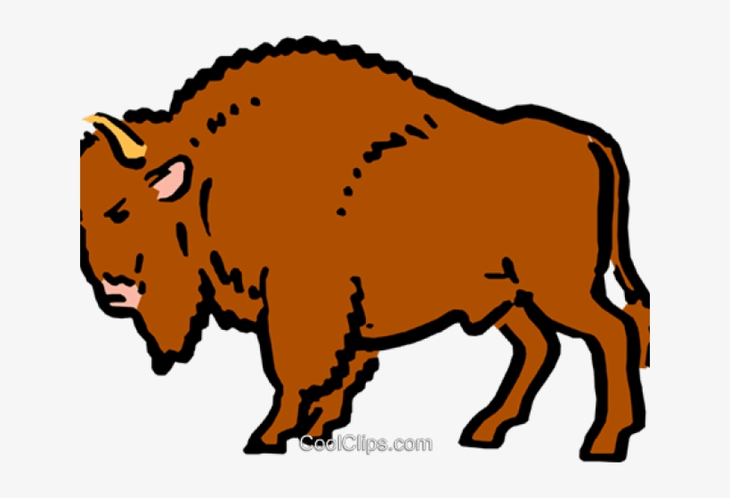 Buffalo Clipart Png - Dirty Buffalo, transparent png