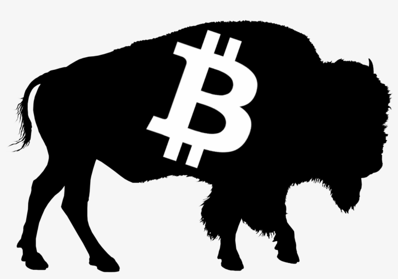 Crypto Buffalo - Buffalo Silhouette Png, transparent png