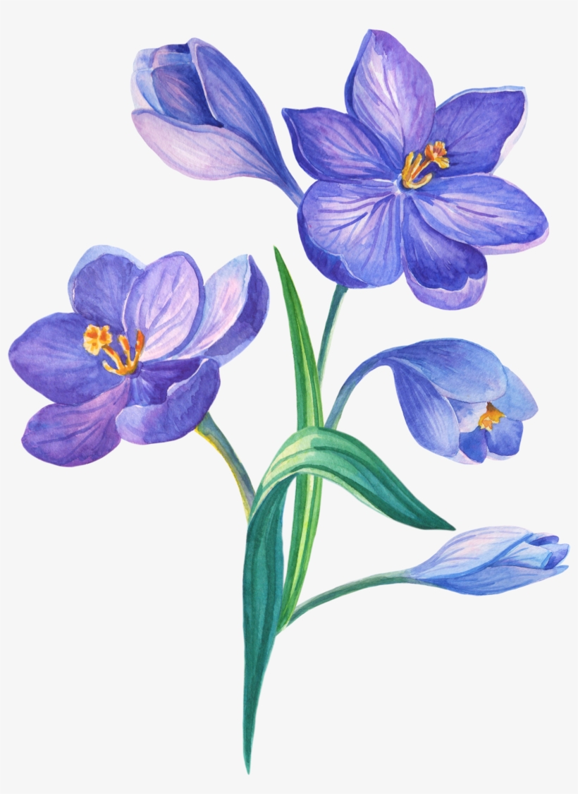 Watercolor Painting, transparent png