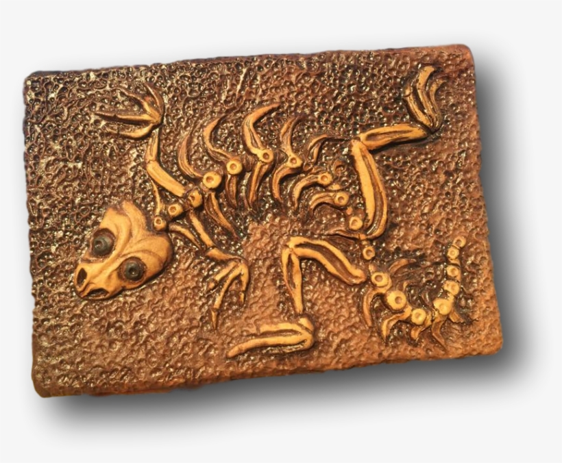 Lizza Dora Lizard Fossil - Child, transparent png