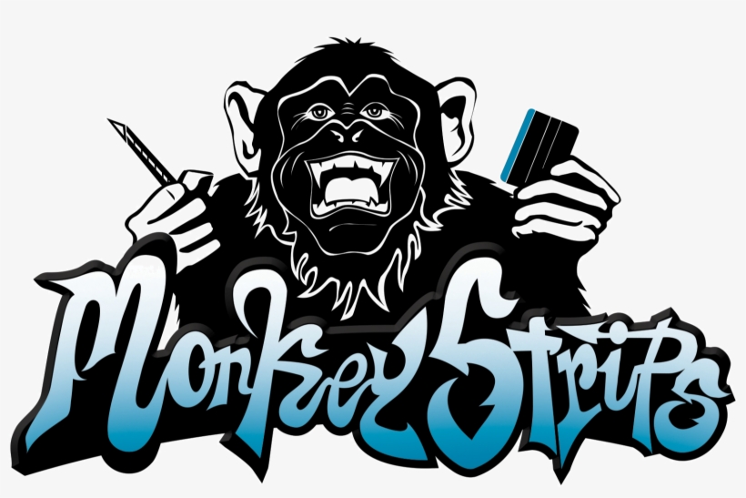 3m Europe Approved, These Precut Squeegee Pads Have Monkey Strips