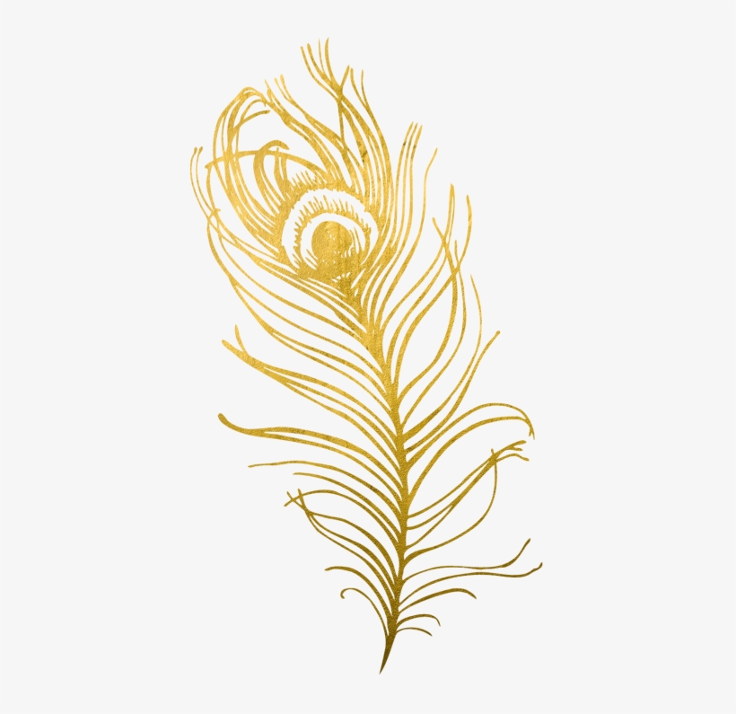 Work With Me, Peacock, Bird, Feather, Colorful, Eye, - Gold Peacock Feather Png, transparent png
