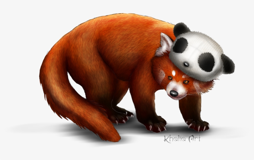Red - Red Panda, transparent png
