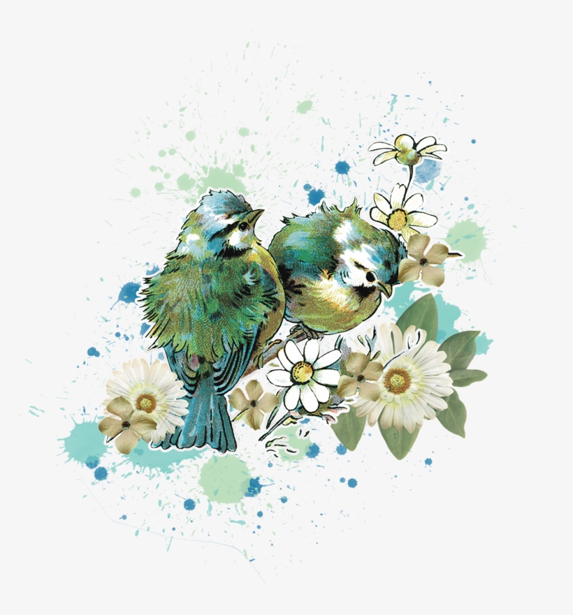 Фото, Автор Mashanbear На Яндекс - Love Bird Water Color, transparent png