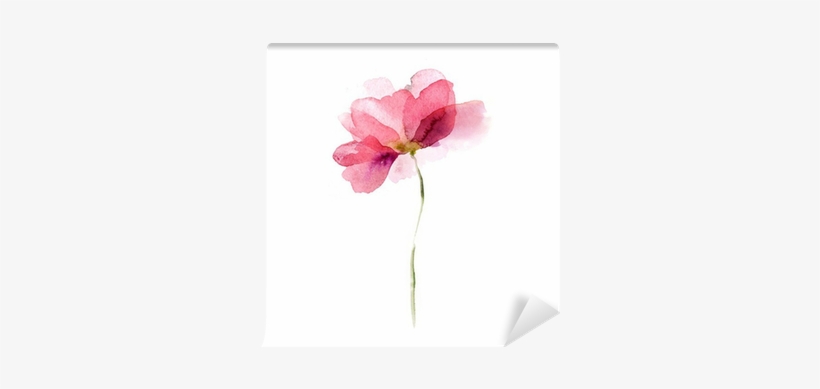 Watercolour Flower Wall Art, transparent png