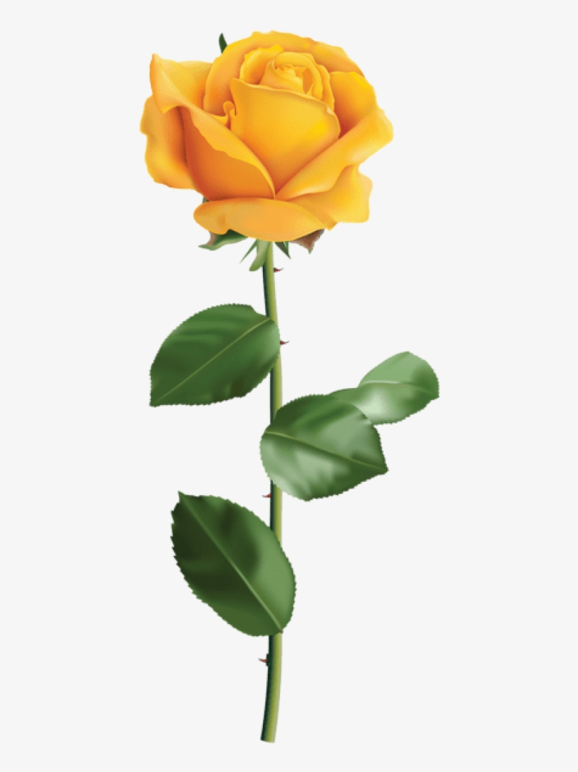 Yellow Rose Transparent Png Clip Art Image - Transparent Yellow Flower Png, transparent png