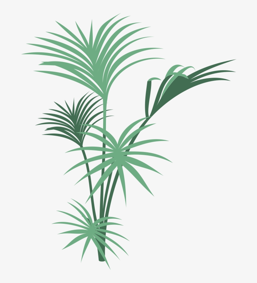 Jd 020, Tarzan Actor, Denny Miller, Part - Jungle Plants Png Transparent, transparent png