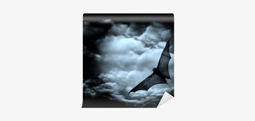 Bat Flying In The Dark Cloudy Sky Wall Mural • Pixers® - Gothic Horror Themes, transparent png
