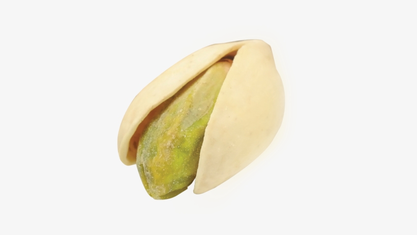 Shop Now - Papaya, transparent png