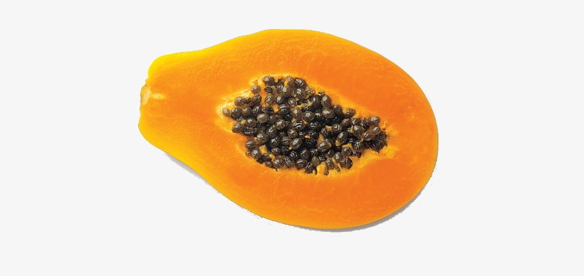 Posted In Papaya - Journey Of A Papaya Seed, transparent png